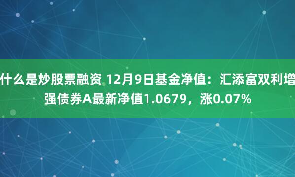 什么是炒股票融资 12月9日基金净值：汇添富双利增强债券A最新净值1.0679，涨0.07%