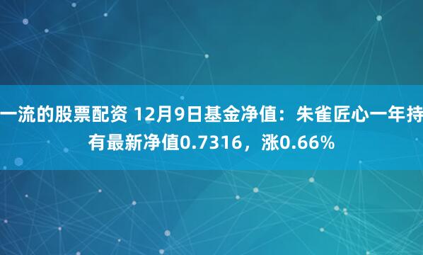 一流的股票配资 12月9日基金净值：朱雀匠心一年持有最新净值0.7316，涨0.66%