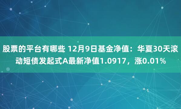 股票的平台有哪些 12月9日基金净值：华夏30天滚动短债发起式A最新净值1.0917，涨0.01%