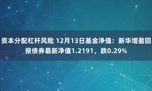 资本分配杠杆风险 12月13日基金净值：新华增盈回报债券最新净值1.2191，跌0.29%