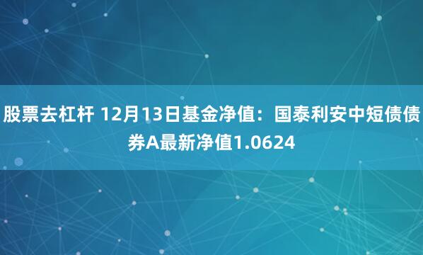 股票去杠杆 12月13日基金净值：国泰利安中短债债券A最新净值1.0624