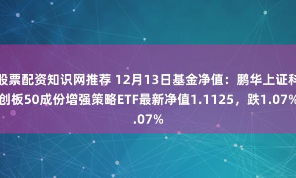 股票配资知识网推荐 12月13日基金净值：鹏华上证科创板50成份增强策略ETF最新净值1.1125，跌1.07%