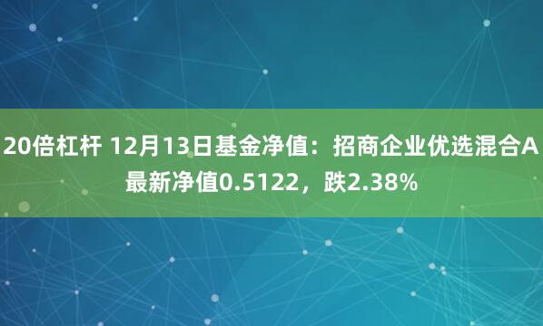 20倍杠杆 12月13日基金净值：招商企业优选混合A最新净值0.5122，跌2.38%