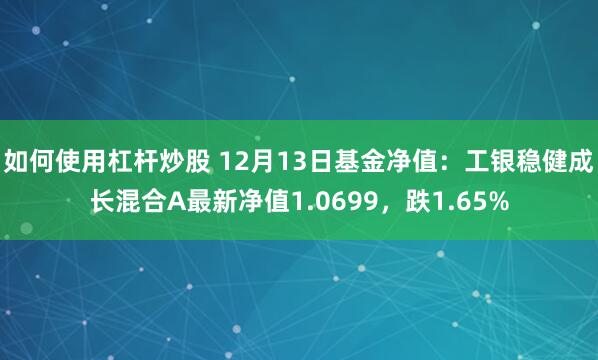 如何使用杠杆炒股 12月13日基金净值：工银稳健成长混合A最新净值1.0699，跌1.65%