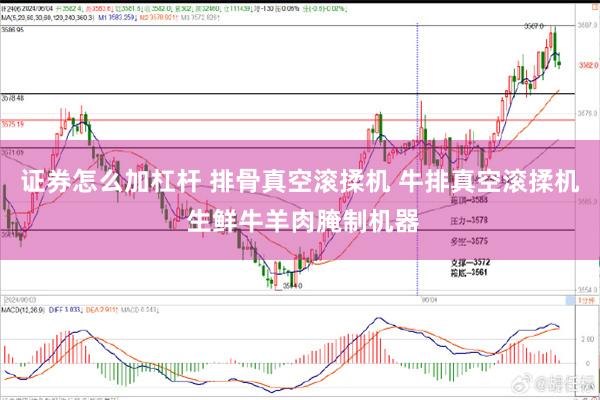 证券怎么加杠杆 排骨真空滚揉机 牛排真空滚揉机 生鲜牛羊肉腌制机器