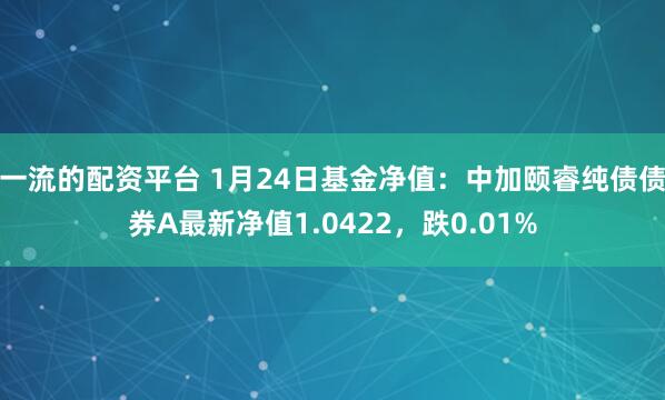 一流的配资平台 1月24日基金净值：中加颐睿纯债债券A最新净值1.0422，跌0.01%