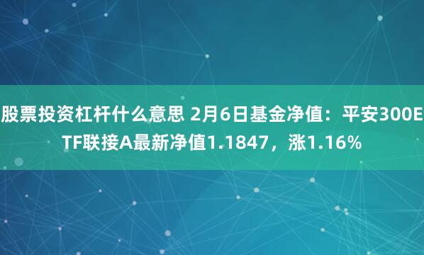 股票投资杠杆什么意思 2月6日基金净值：平安300ETF联接A最新净值1.1847，涨1.16%