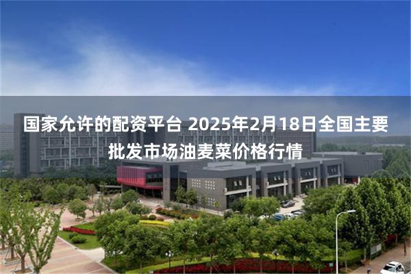 国家允许的配资平台 2025年2月18日全国主要批发市场油麦菜价格行情