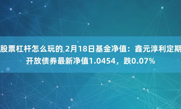 股票杠杆怎么玩的 2月18日基金净值：鑫元淳利定期开放债券最新净值1.0454，跌0.07%