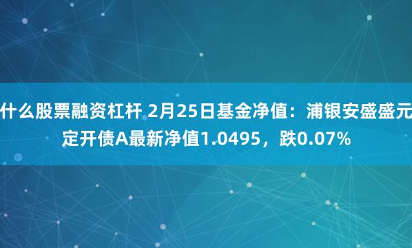 什么股票融资杠杆 2月25日基金净值：浦银安盛盛元定开债A最新净值1.0495，跌0.07%