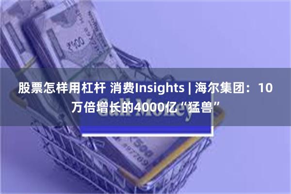 股票怎样用杠杆 消费Insights | 海尔集团：10万倍增长的4000亿“猛兽”